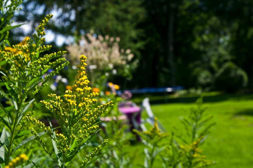 Skelstrupgaard Apartments マリボ エクステリア 写真